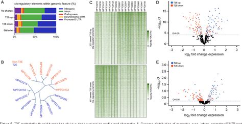 Figure From The Role Of T E Mediated Cbf Rbp J Signaling In