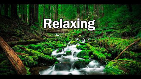 Relaxing Music & Rain Sounds - YouTube