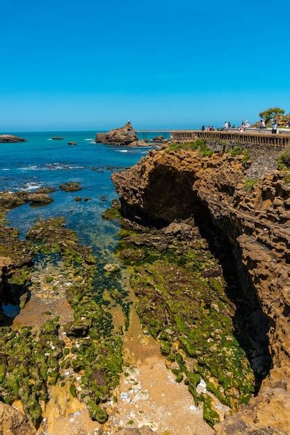 Premium Photo | Coast of plage du port vieux on a summer afternoon