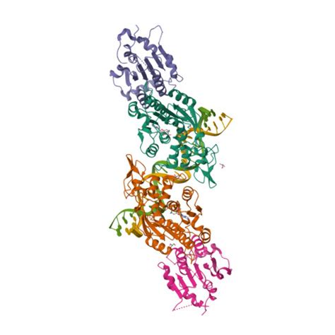 Rcsb Pdb 5yx2 Crystal Structure Of Dnmt3a Dnmt3l In Complex With Dna