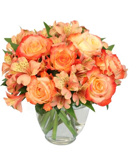 Ambrosia Roses Bouquet in Westminster, CO - WESTMINSTER FLOWERS & GIFTS