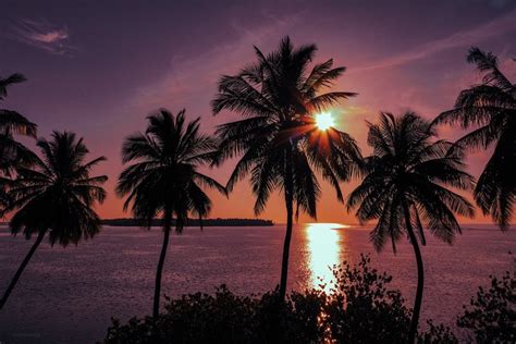 Cruise Bij Zonsondergang En Nachtvissen In Dhiffushi Aangeboden Door