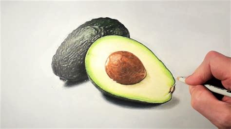 Drawing A Ripe Avocado Speed Drawing Timelapse Using Prismacolor