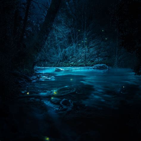 Forest Wallpaper 4K, River, Night, Dark, Nature, #1802