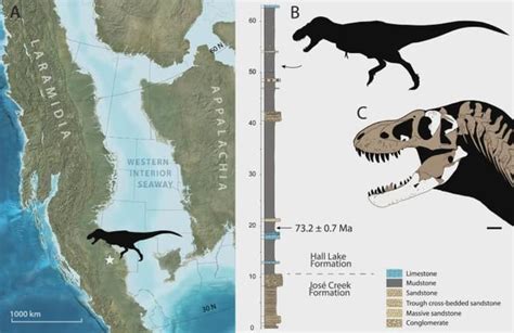 Tyrannosaurus mcraeensis - new early Tyrannosaurus species from New Mexico : r/Dinosaurs