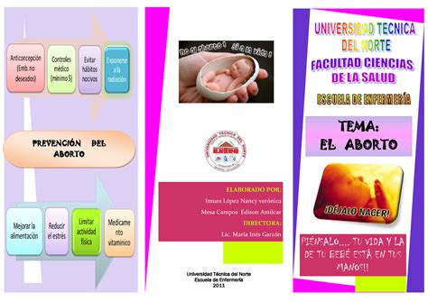 Enf Triptico De Aborto Universidad T Cnica Del Norte Escuela