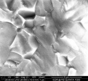 SEM Micro Graphs Are Shown Of Samples A 5 B 6 C 8 D 10