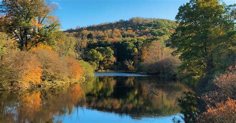 A Guide To The Allegheny National Forest Trips To Uncover