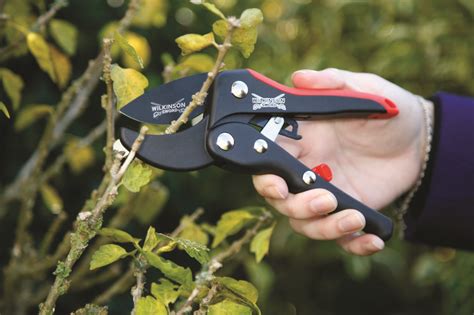 Ratchet Anvil Pruner Rutland Garden Village Oakham Rutland