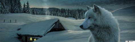 Dual Monitor Wolf Wallpapers - Top Free Dual Monitor Wolf Backgrounds - WallpaperAccess