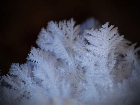 Frost 3F Outside Frost Around The Birdbath Jim Bauer Flickr