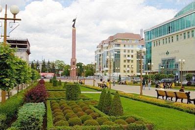 Древо - иллюстрация: Ставрополь