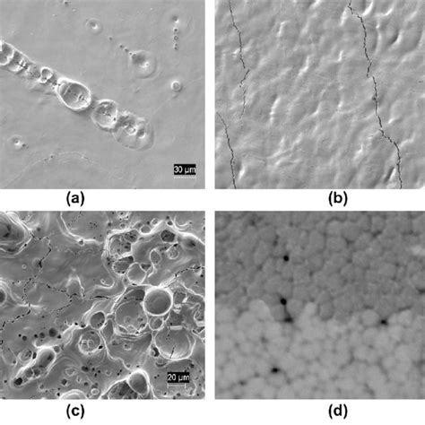 Erosion And Structure Of The Surface Of Polycrystalline Tungsten