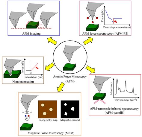 Schematic Illustration Of Atomic Force Microscopy Afm Technique