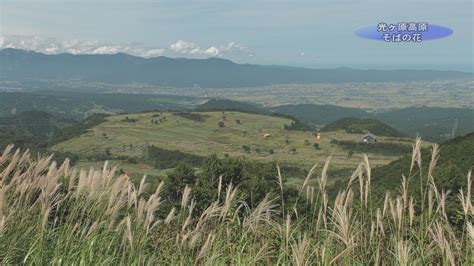 【動画】光ヶ原高原ソバの花 上越妙高百景 上越妙高タウン情報