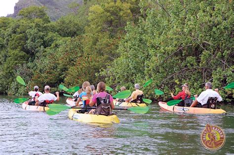 What It’s Like To Kayak Wailua River | Ali’i Kayaks & Watersports