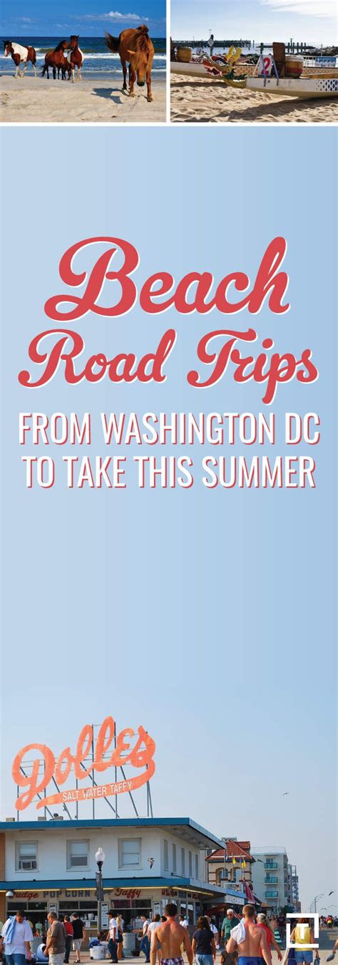 Dont Miss Out On These Washington Dc Road Trips This Summer Beach