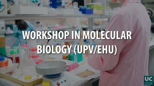 Programa M Ster Universitario En Biolog A Molecular Y Biomedicina