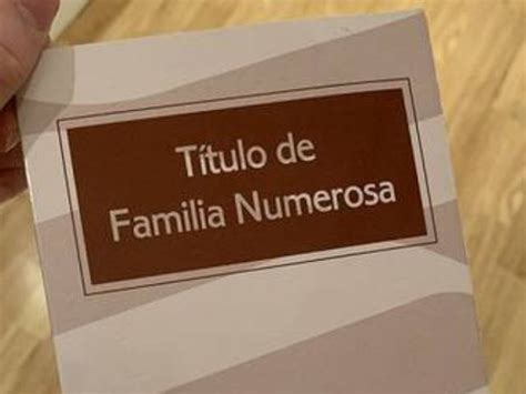 Calificamos De Ataque Directo” Y ProvocaciÓn A Las Familias Numerosas