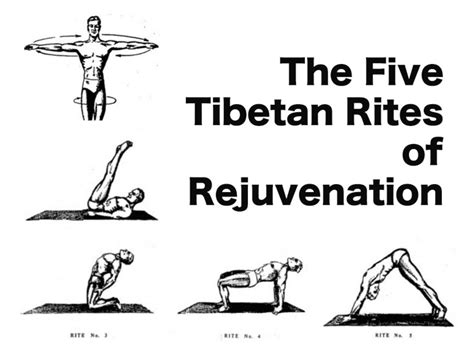 The Five Tibetan Rites of Rejuvenation | organictalks.com