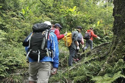 Private Fansipan Trekkingtour Tage Nacht Zur Verf Gung Gestellt Von