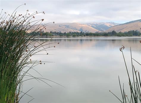 Fremont, CA Obituaries: Honoring Local Community Members 22