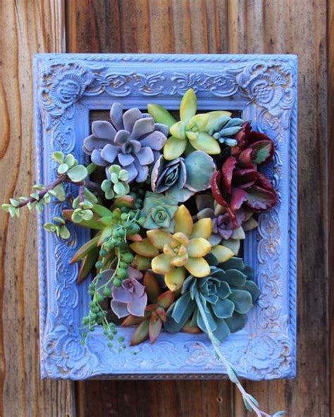 55 Creative Diy Succulents Ideas For You Page 6 Of 55 Soopush Succulents Diy Succulents