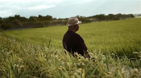 胡德夫《一幅画》mv 我的心中有一群人，辛勤的耕田 胡德夫 新浪新闻