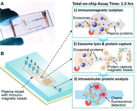 New Lab On A Chip Could Revolutionize Early Diagnosis Of Cancer