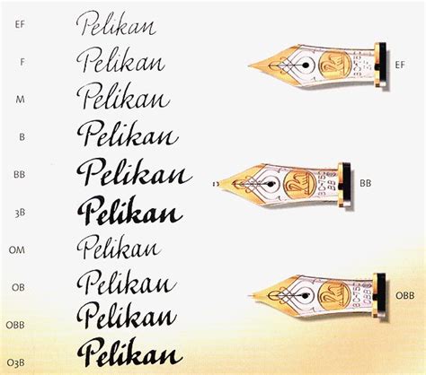 Pelikan M1000 Nibs - Pelikan - The Fountain Pen Network