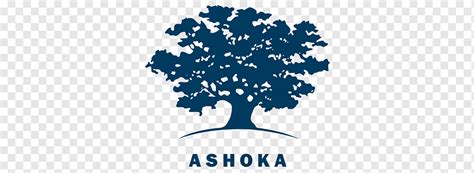 Ashoka Innovators For The Public Organization Entrepreneurship