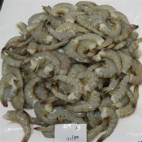 Headless Vannamei Shrimps Prawns Block At Best Price In Chennai