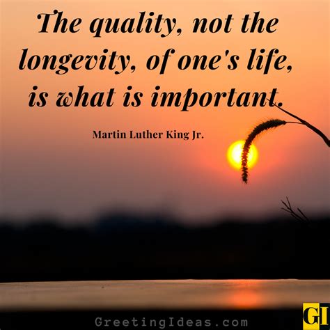 60 Inspiring Longevity Quotes To Live A Deeper Life