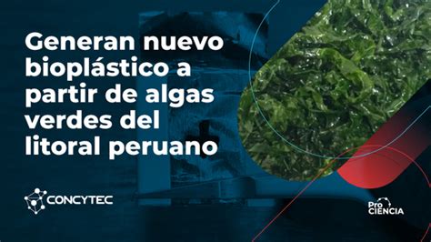 Investigadores desarrollan nuevo bioplástico con uso de algas verdes