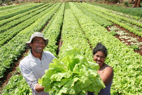 Una Propuesta Diferente Para Erradicar La Pobreza Rural Tierrafértil®