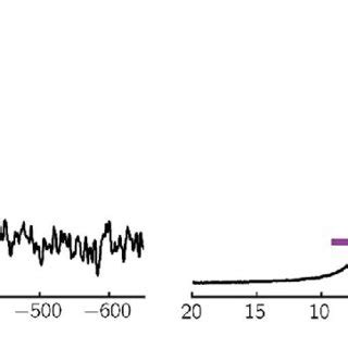 15 N CP MAS Left And 1 H Spin Echo Right NMR Spectrum Of PX