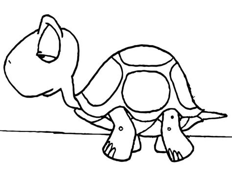 Tortuga Linda Para Colorear Imprimir E Dibujar Coloringonly Com