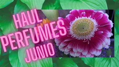 HAUL PERFUMES JUNIO 2021 YouTube