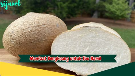 4 Manfaat Bengkoang Untuk Ibu Hamil Yang Wajib Dicoba Sijanol