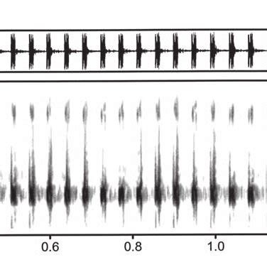 Distribution Of Frequencies Power Spectrum Of An Advertisement Call