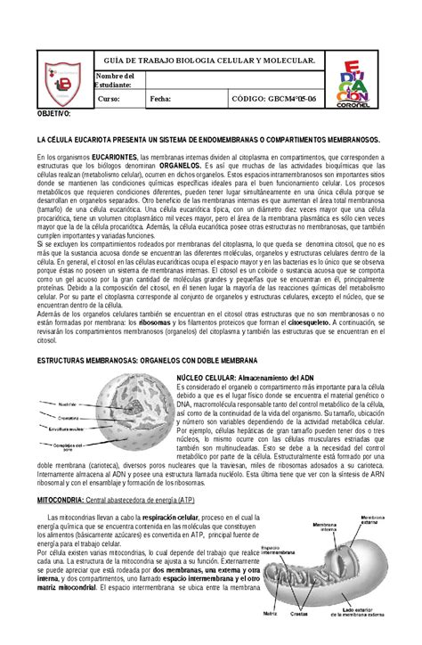 GuÍa De Trabajo Biologia Celular Y Molecular GuÍa De Trabajo Biologia Celular Y Molecular