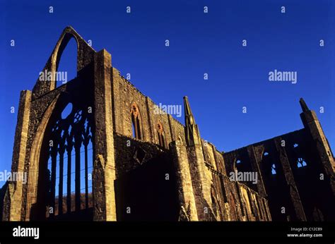 Tintern Abbey, Wales Stock Photo - Alamy