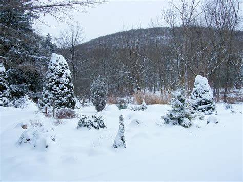 Snow Trees Stanley Zimny Thank You For Million Views Flickr