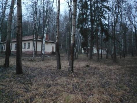 Бывший детские лагеря Чайка, Ласточка и Буревестник | заброшенный ...