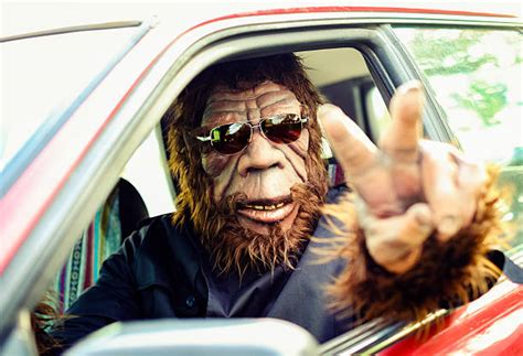 Best Sasquatch Stock Photos, Pictures & Royalty-Free Images - iStock