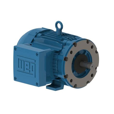 Weg Motor W Explosion Proof Motor Nema Premium Efficiency Hp P