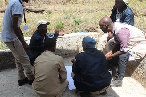 animal in ethiopia 6