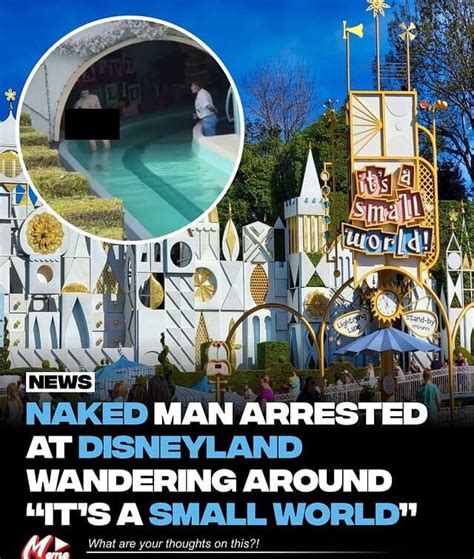 Naked Man Arrested At Disneyland Wandering Around It S A Small World