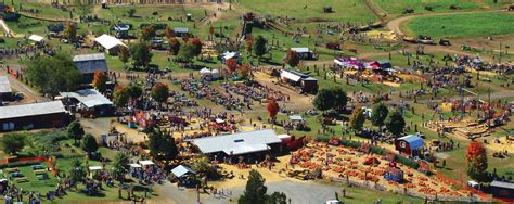 Fall Festivals In Northern Va Fairfax Autumn Festivals Fairfax