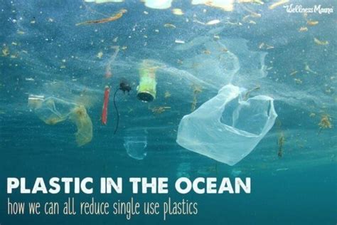 How We Can Reduce Single-Use Plastic that ends up in the Ocean